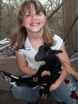 Anna holding a new born goat. 